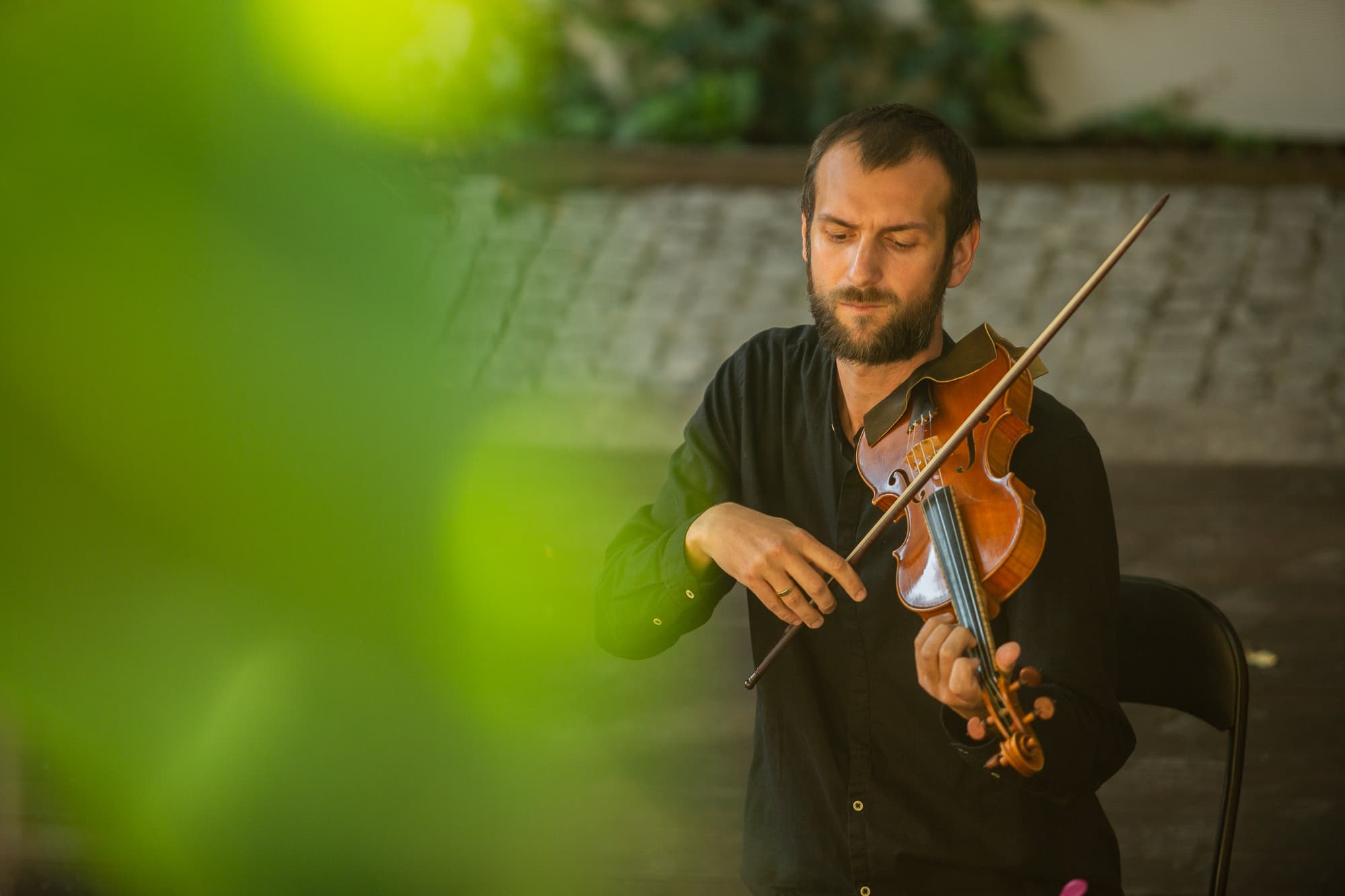Hortus Artis (16.08.2020)
