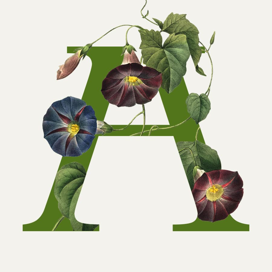 HORTUS ARTIS 2024