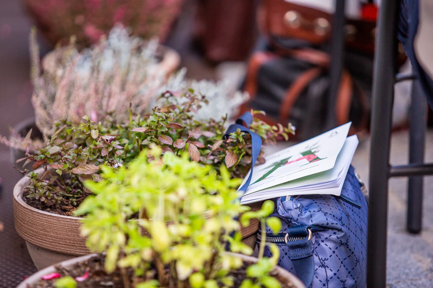 Hortus Artis – Serenada (20.09.2020)